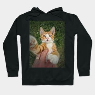 petting an orange tomcat Hoodie